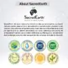 About Sacred Earth